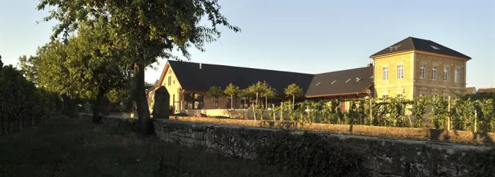 Weingut Josef Biffar 1