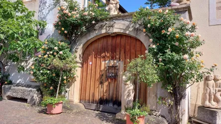 Atelier Bettina C. Morio