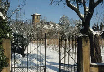 Weinhaus Villa Gießen 2