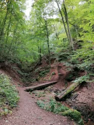 Elendsklamm Sagenhafter Waldpfad. (© VG Bruchmühlbach-Miesau)