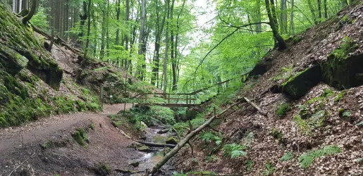 Elendsklamm. (© FVZV Pfälzer Bergland, Ludmilla Schwarz)