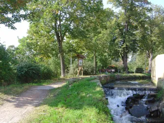 Bachlauf Isenach in Erpolzheim 