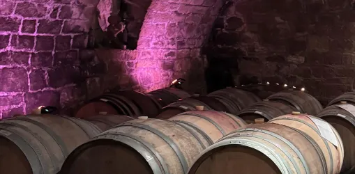 Vino Lumino Fasskeller (© Weingut Kohl)