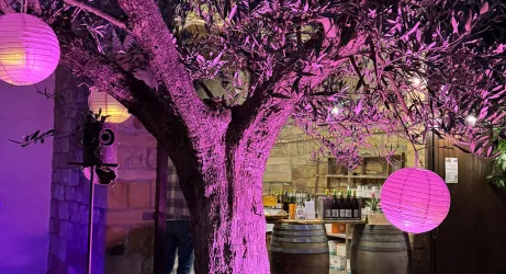 Vino Lumino Hofbeleuchtung (© Weingut Kohl)