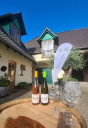 Weingut (© Annette Kohl)