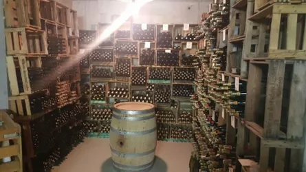 Schatzkeller (© Weingut Koob)