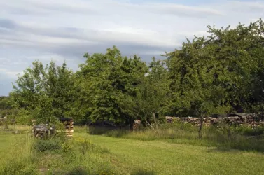 Streuobstwiese (© Stadt Wörth)