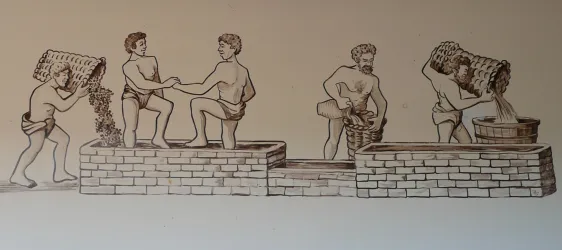 Weintreter bei der Arbeit