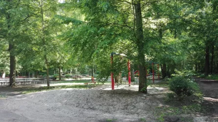 Spielplatz Naturfreundehaus Kandel (© Südpfalz Tourismus Kandel e.V.)