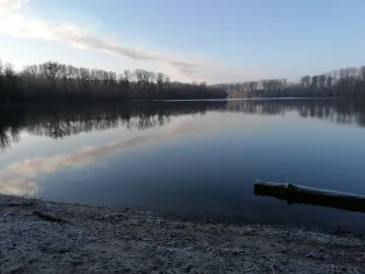 Ein ruhiger See bei Sonnenaufgang, umgeben von kahlen Bäumen. Das Wasser spiegelt den klaren Himmel und die sanften Wolken wider.