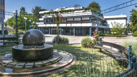 Ein Brunnen und blühenden Pflanzen. Im Hintergrund ist das Rathaus zu sehen