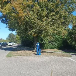 Eine Rad-Servicestation steht unter einem großen Baum.