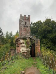 Ein historischer Turm aus Stein, der auf einem Felsen steht. Umgeben von grünen Bäumen und bewölktem Himmel. Hier ist die Burgruine Erfenstein zu sehen.