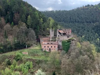 Eine verlassene Burgruine auf einem Hügel, umgeben von dichten Wäldern. Der Himmel ist bewölkt und verleiht der Szene eine mystische Atmosphäre. Hier ist die Burg Spangenberg zu sehen.