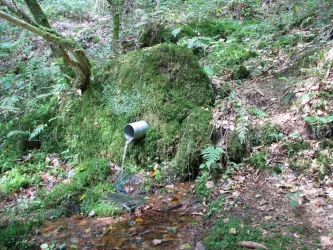 Erntsiegelbrunnen - Brunnenweg - Esthal