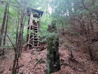 Grenzstein Stutgarten - Burg Spangenberg