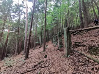 Reste Umzäunung Stutgarten- Burg Spangenberg