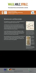 Infotafel 6 Acht Uhr Läuten