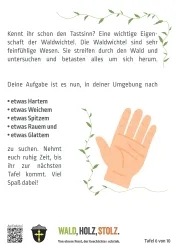 Eine einfache Anleitung zum erkunden des Tastsinnes. Der Text ermutigt die Kinder den Tastsinn zu erfahren.