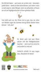 Eine Illustration eines Wichtels mit großen Ohren, umgeben von Bienen. Der Text spricht über das Hören von Geräuschen im Wald und die Aufforderung, die Ohren besser zu nutzen.