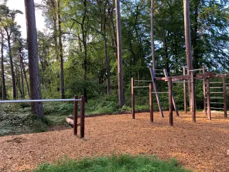 Ein Spielplatz im Wald mit Holzelementen und Klettergeräten. Umgeben von hohen Bäumen und grünem Gras.