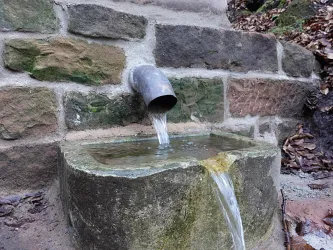 Eine Brunnenanlage, aus welcher Wasser aus einem Metallrohr in ein Sandsteinbecken läuft. Die Umgebung besteht aus groben Steinen und Laub.