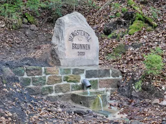Ein Brunnen mit einem großen Sandstein, der die behauene Inschrift "Hengstenthal Brunnen 2020" zeigt. Der Brunnen befindet sich in einer bewaldeten Umgebung mit Laub und grünen Pflanzen.