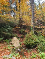 Ein schöner Herbstwald mit bunten Blättern und einem kleinen Steinbrunnen. Die Umgebung ist ruhig und idyllisch.