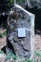 Spitzer Stein - Esthal