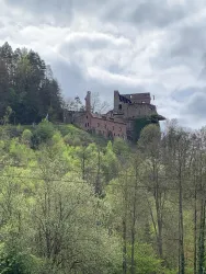 Eine alte Burgruine auf einem Hügel, umgeben von grünen Bäumen. Der Himmel ist bewölkt, was eine mystische Atmosphäre schafft. Auf dem Foto ist die Burg Spangenberg von Erfenstein zu sehen.