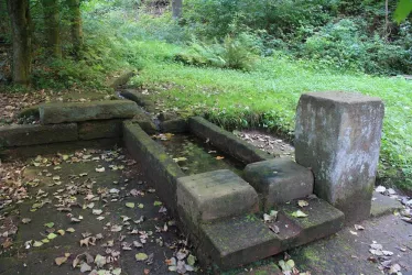 Wögelbrunnen - Esthaler Brunnenweg