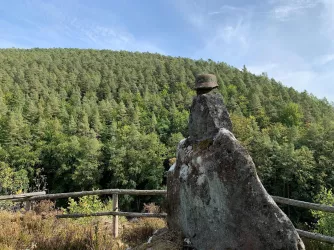 Blick vom Ehrenfelsen - Elmstein