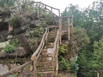 Eine natürliche Landschaft mit einer hölzernen Treppe, die zum Ehrenfelsen führt. Umgeben von dichtem Grün und Sträuchern.