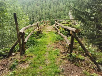 Ein schmaler Pfad führt zum Ehrenfelsen. Umgeben von grünen Bäumen und Gras vermittelt die Szene eine ruhige, natürliche Atmosphäre.