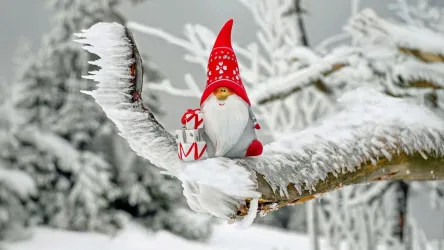 Nikolausmarkt Elmstein