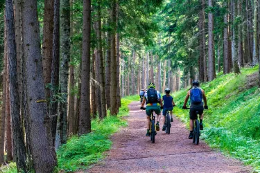 E-MTB BornReisen