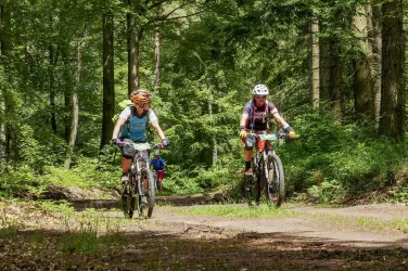 Mountainbike-Touren-Pfälzerwald.de