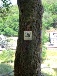 Felsenkönig Wandermarkierung