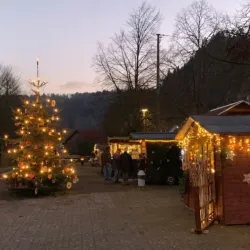 Ein festlich geschmückter Weihnachtsbaum steht auf einem Platz in der Dämmerung. Um ihn herum sind beleuchtete Stände, an denen Menschen stehen und stöbern. Auf dem Foto ist das Weihnachtsdorf am Kuckucksbahnhof zu sehen, anlässlich der Nikolausfahrten.
