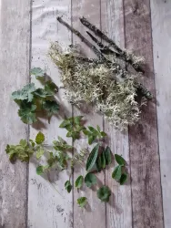 Kräuterrundgang mit Verkostung