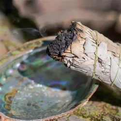 Bündel aus Salbei raucht über einer Muschel. Im Hintergrund sind weiche, natürliche Oberflächen sichtbar.