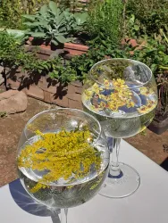 Lichterfest u. Räuchern - Heilkräuter Seminare