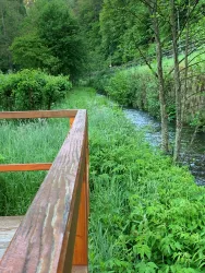 Der Speyerbach fließt durch einen mit Sandsteinen gebauten Kanal, umgeben von Bäumen. Im Vordergrund ist die Holzplattform zu sehen, welche eine schöne Aussicht bietet.