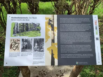 Ein Informationsschild über den Wald und seine Vorteile, das Illustrationen und Texte enthält. Es wird erklärt, dass der Wald mehr als nur Holz bietet.