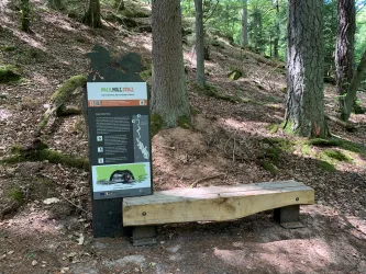 Felsenkönig Infotafel 13