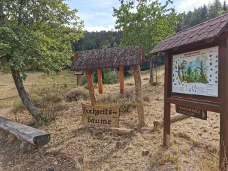 Hochzeitsbäume beim Pavillon