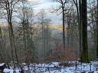 Aussicht - Donnersberg - Waldpochen