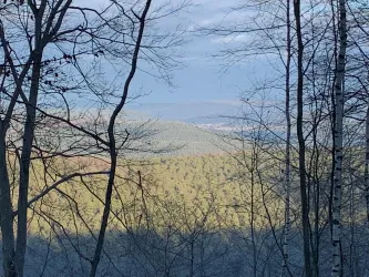 Ausblick nach Esthal - Waldpochen