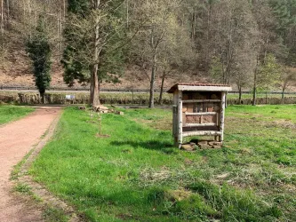 Ein ruhiger Wanderweg führt vorbei an einer grünen Wiese. Auf der Wiese steht eine kleine Holzunterstand.