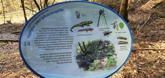 Johannisquelle Infotafel Nr. 14
